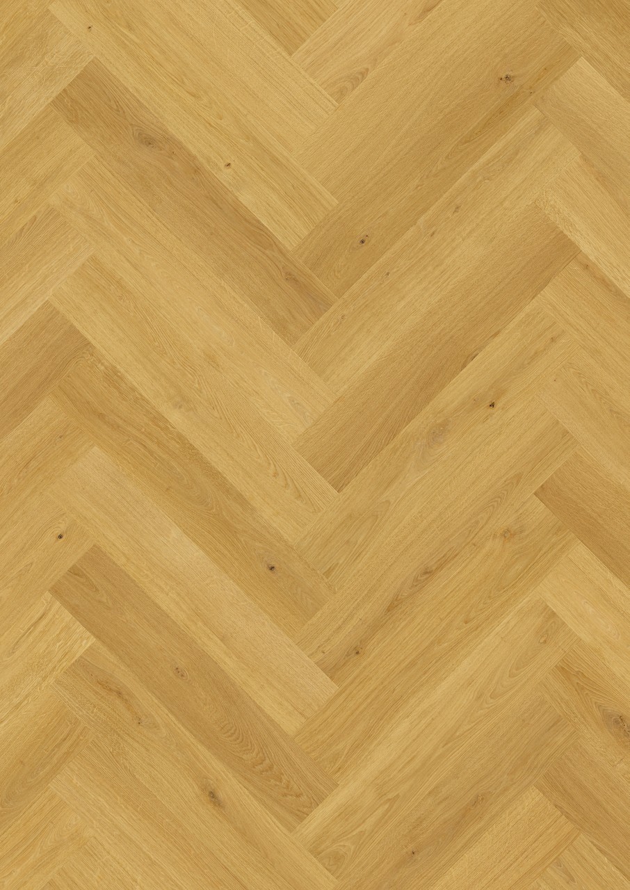 Roble comino IMD8247